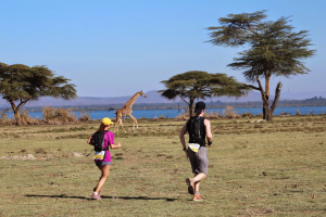 course homme femme girafe