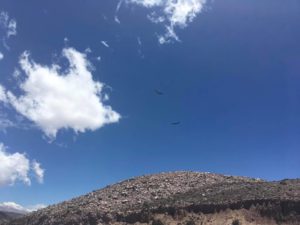 NOA-Argentina-Trail-Running-Condor
