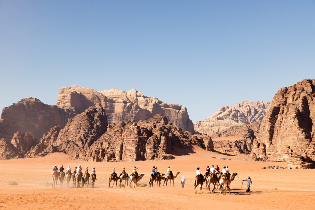 Balade en dromadaire dans le désert du Wadi Rum