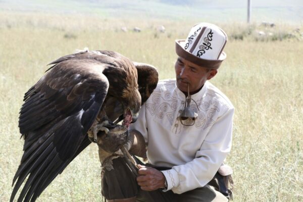 Eagle hunter (1)