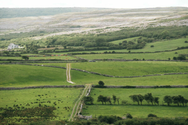 Exaequo irish trail 2025 - Alexandre Leroy -2501