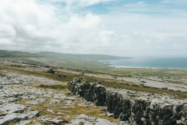 Exaequo irish trail 2025 - Alexandre Leroy -2832