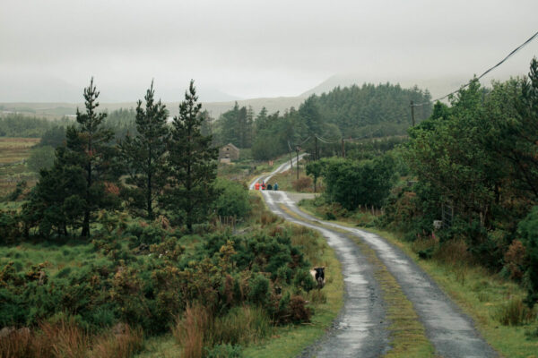 Exaequo irish trail 2025 - Alexandre Leroy -3115